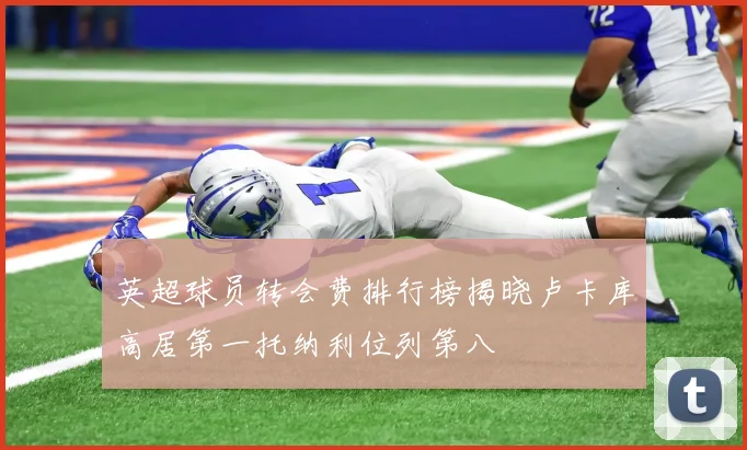 英超球员转会费排行榜揭晓卢卡库高居第一托纳利位列第八