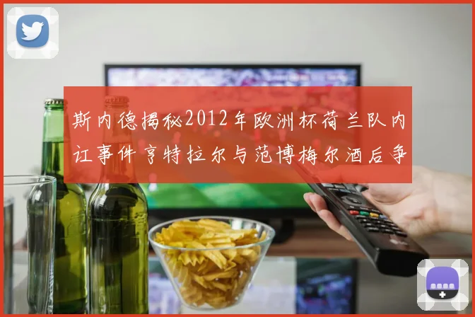 斯内德揭秘2012年欧洲杯荷兰队内讧事件亨特拉尔与范博梅尔酒后争执内幕